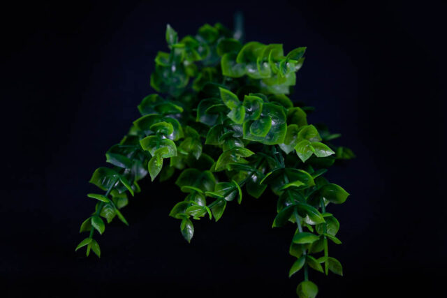 COMPLEMENTO PLÁSTICO