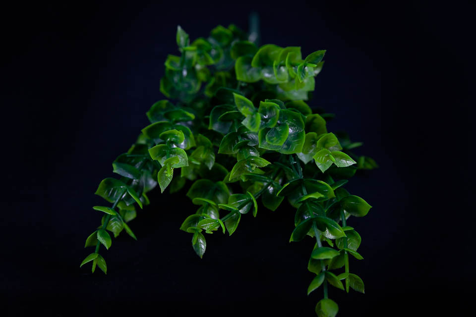 COMPLEMENTO PLÁSTICO