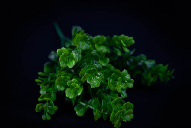 COMPLEMENTO PLÁSTICO