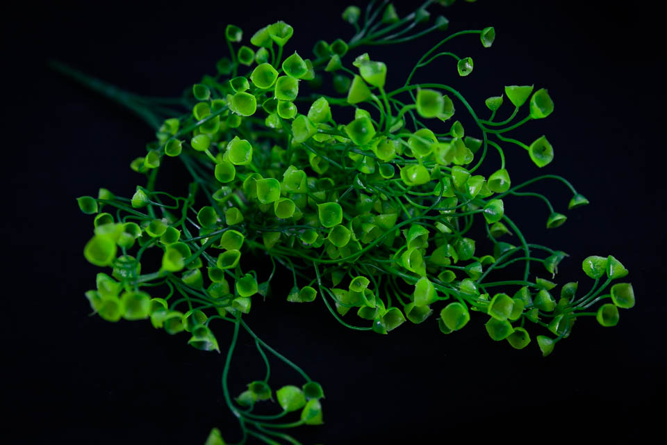 COMPLEMENTO PLÁSTICO