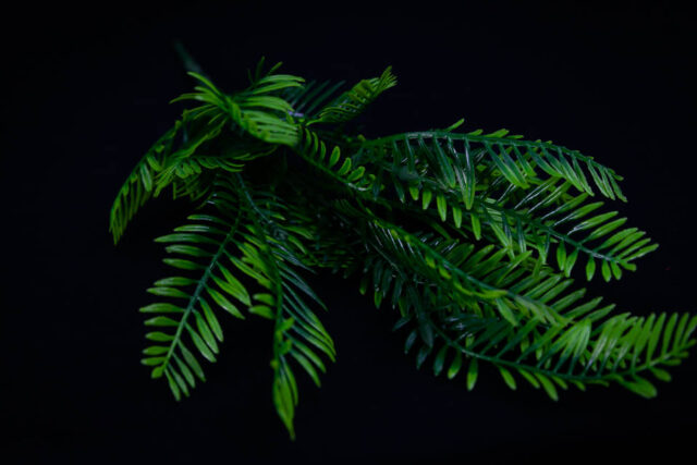 COMPLEMENTO PLÁSTICO