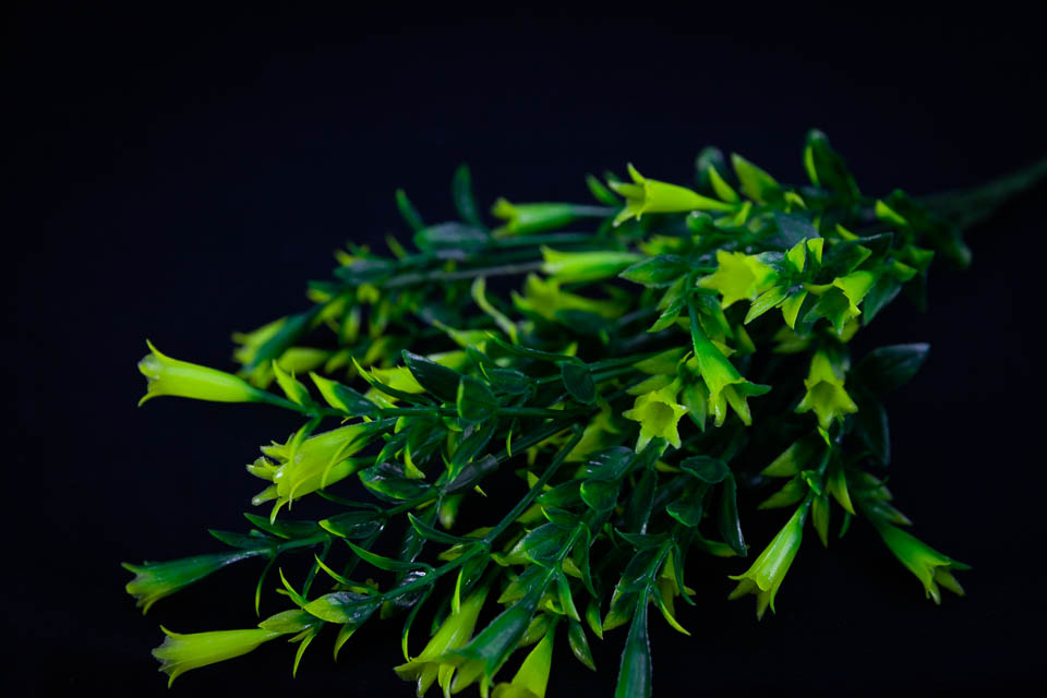 COMPLEMENTO PLÁSTICO