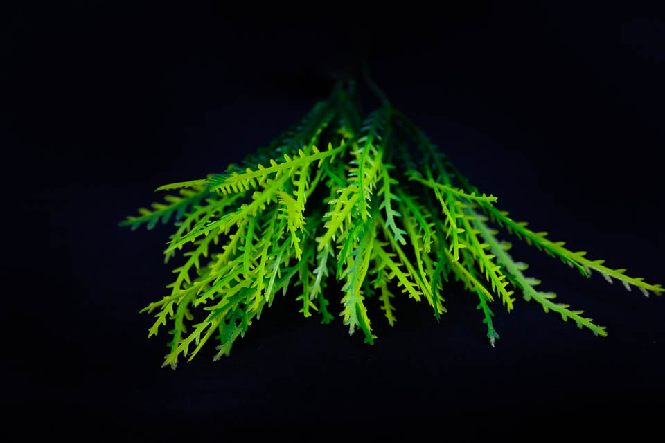 COMPLEMENTO PLÁSTICO